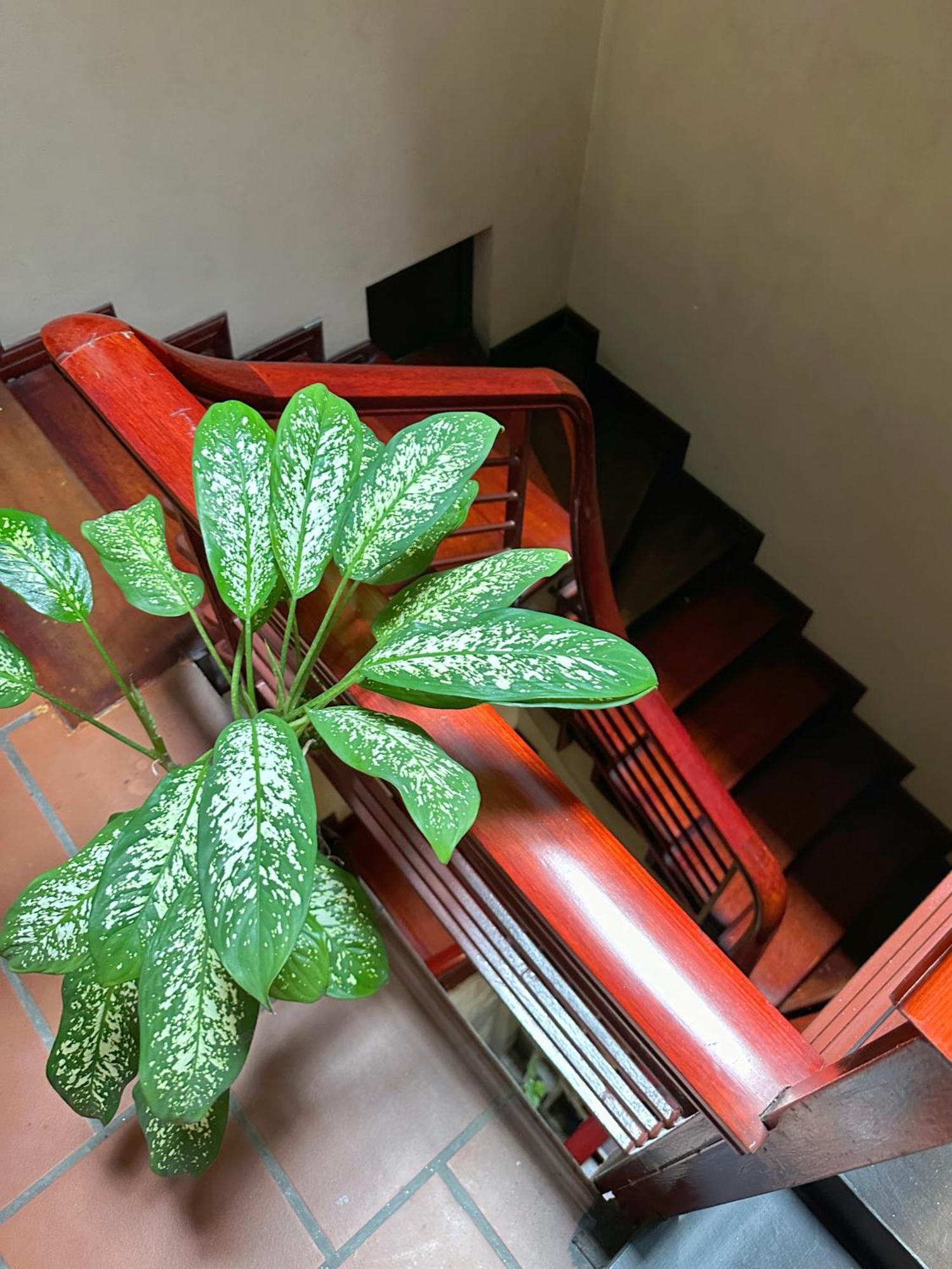 Halo Bay Homestay 하롱 외부 사진
