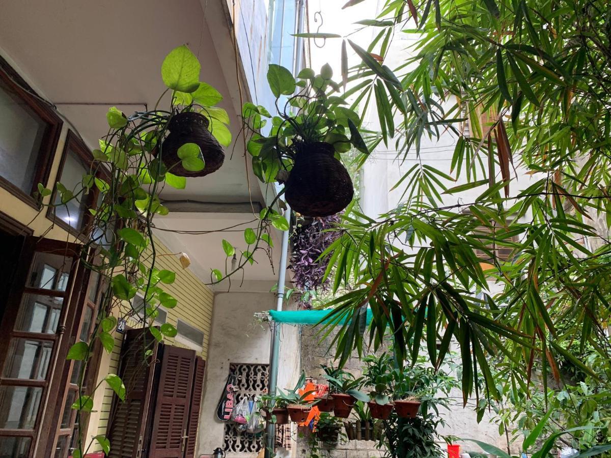 Halo Bay Homestay 하롱 외부 사진